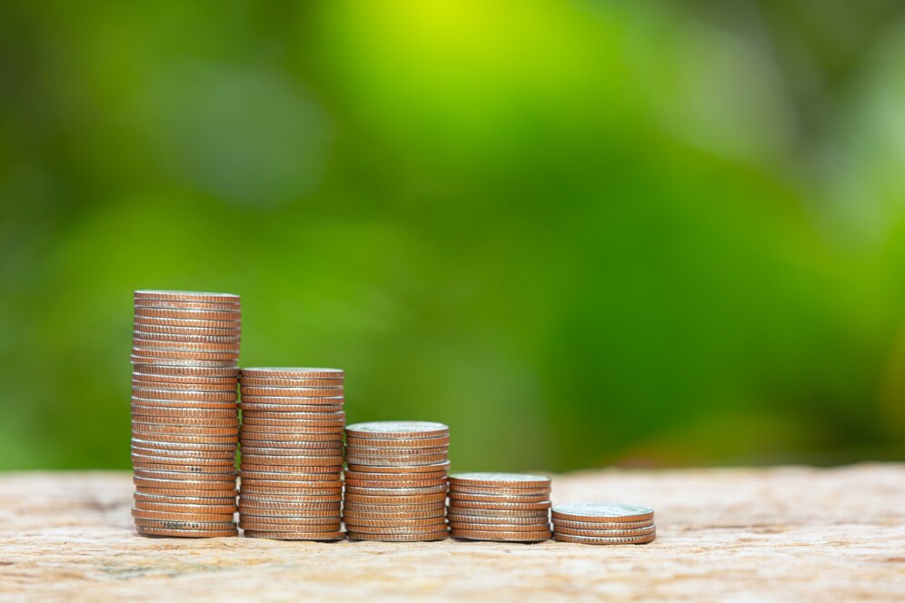 Exploring the Landscape of Mutual Funds in India