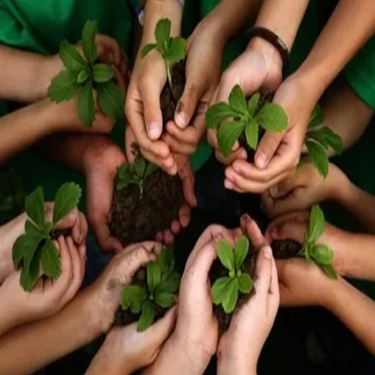 World Environment Day 2025